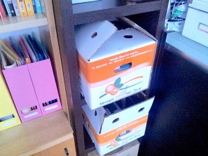 reciclar-caja-de-naranjas-reutilizar-caja-de-carton