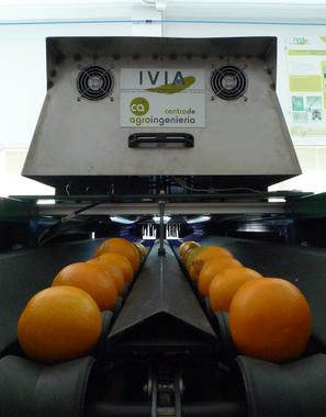 inspeccion-naranjas-y-mandarinas-con-vision-artificial_image_380