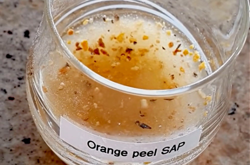 orange-peel-sap-kiara-nirghin