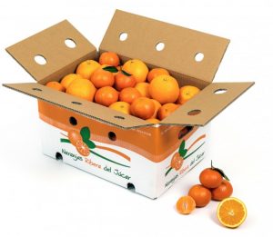 regalo-caja-de-navidades-mixta-naranjas-mandarinas